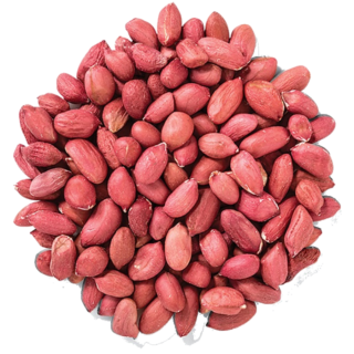 Peanut / Groundnut