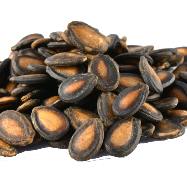 Watermelon Seed
