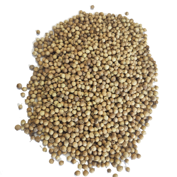 Coriander Seeds