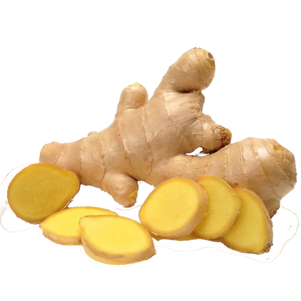 Ginger
