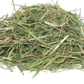 Alfalfa Hay