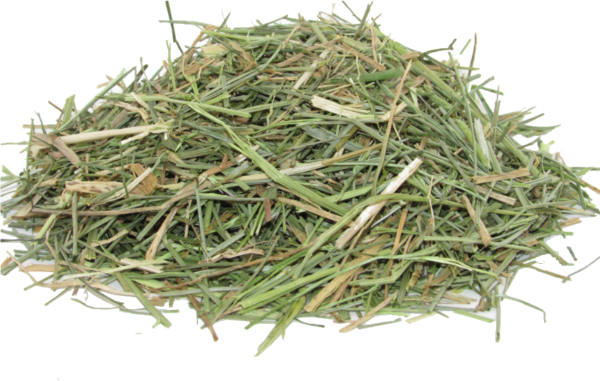 Alfalfa Hay