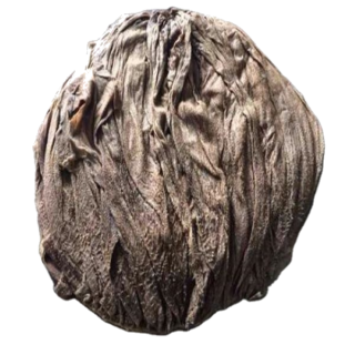 Beef Omasum