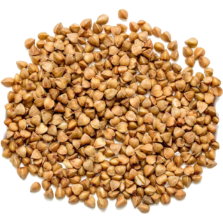 Buckwheat