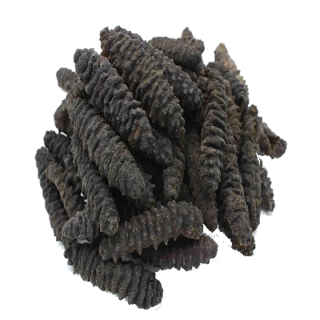 Sea Cucumber