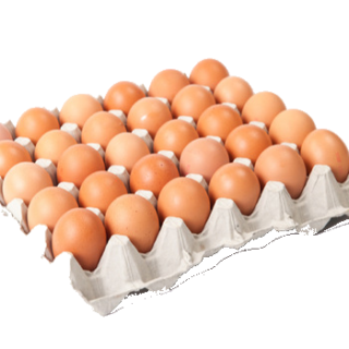 Fresh Table Eggs