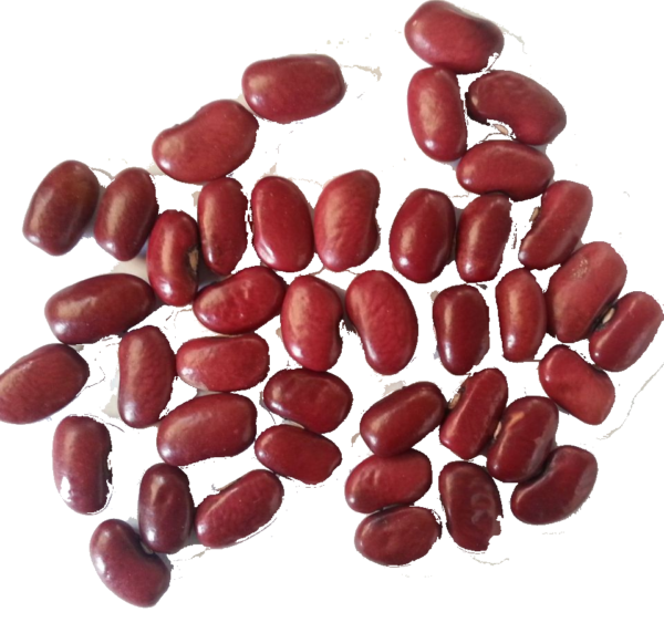 Kidney Beans