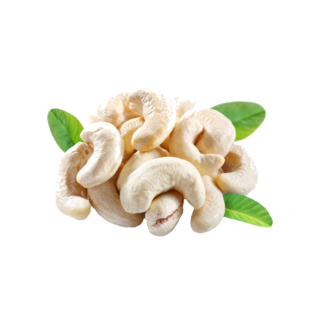 Cashew Kernel