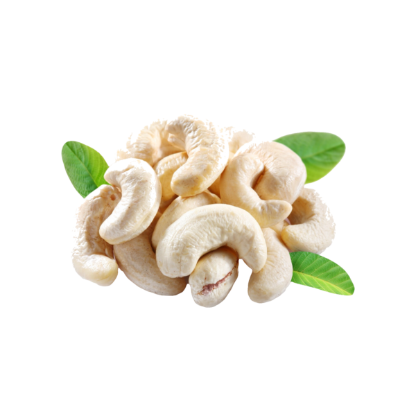 Cashew Kernel