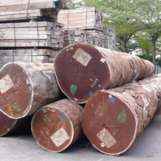Timber